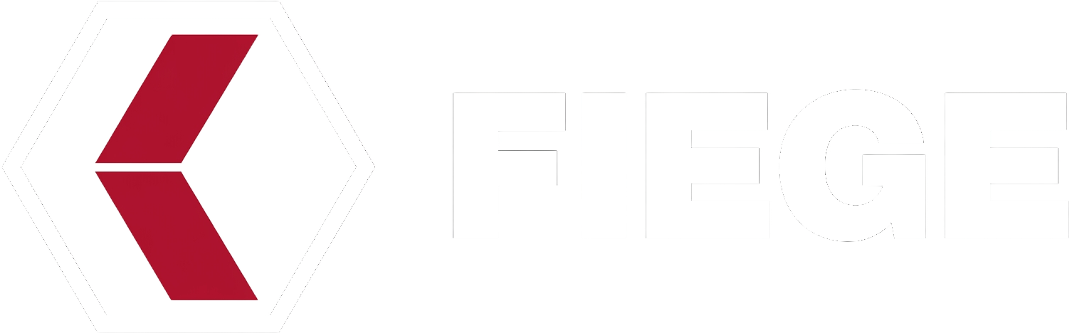 Fiege Logistik Logo